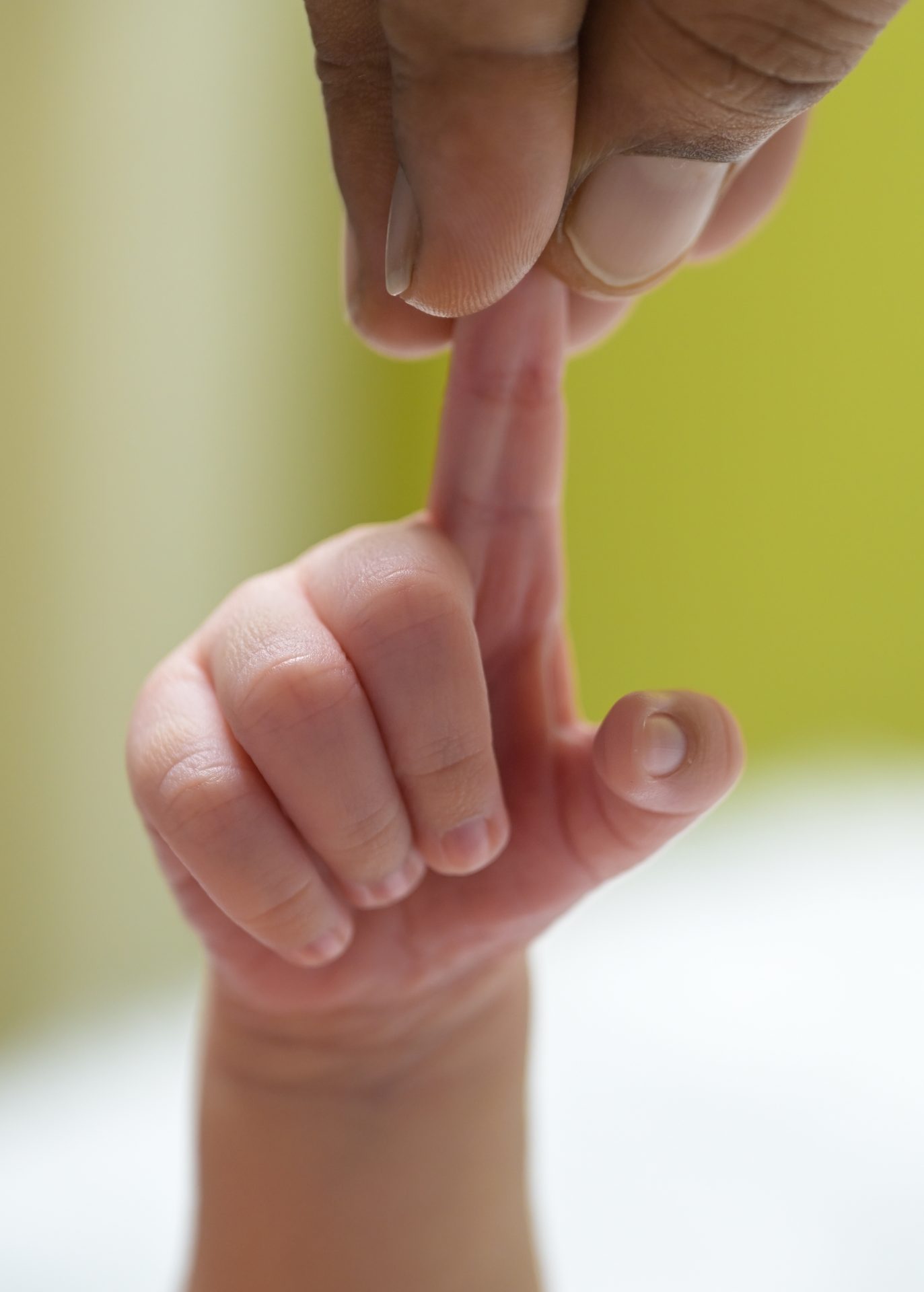 Newborn