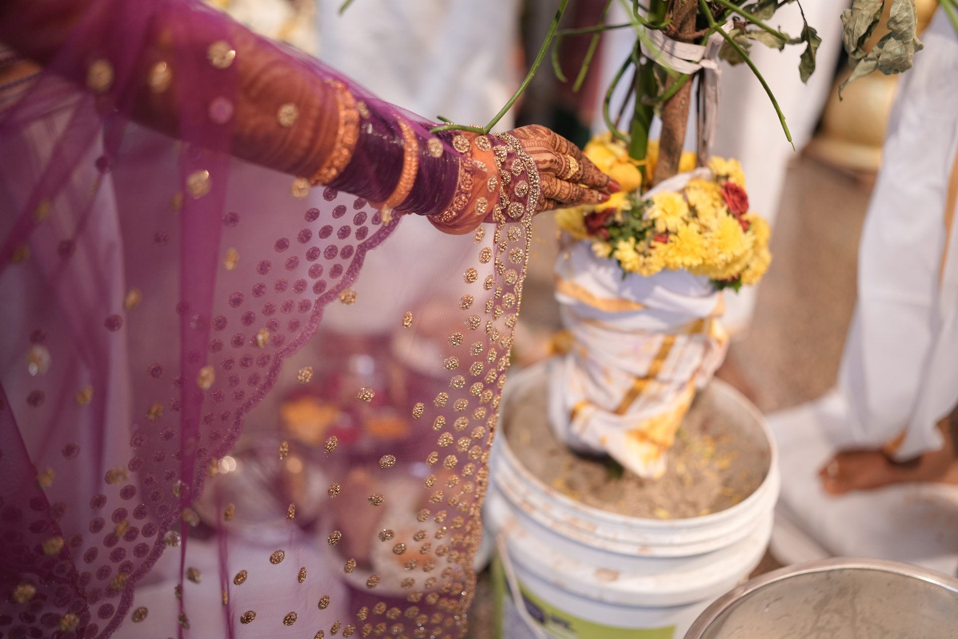 Wedding